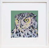 Intensity Owl Print - Lorraine Fletcher Art
