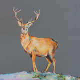 Believe Stag Print - Lorraine Fletcher Art