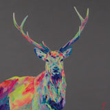 'Illumuination' Irish Stag Print - Lorraine Fletcher Art