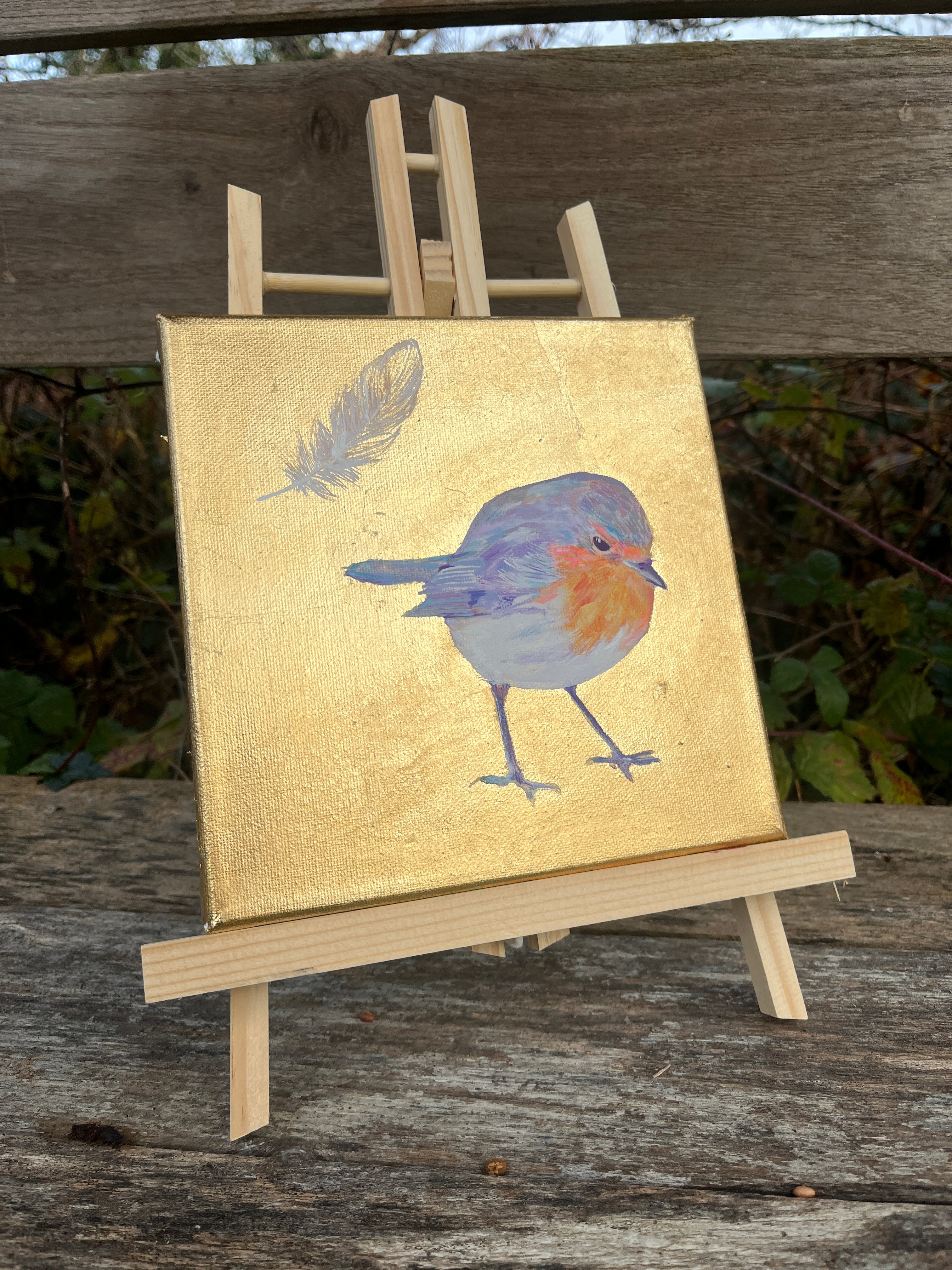 Robin 3- Where feathers fall