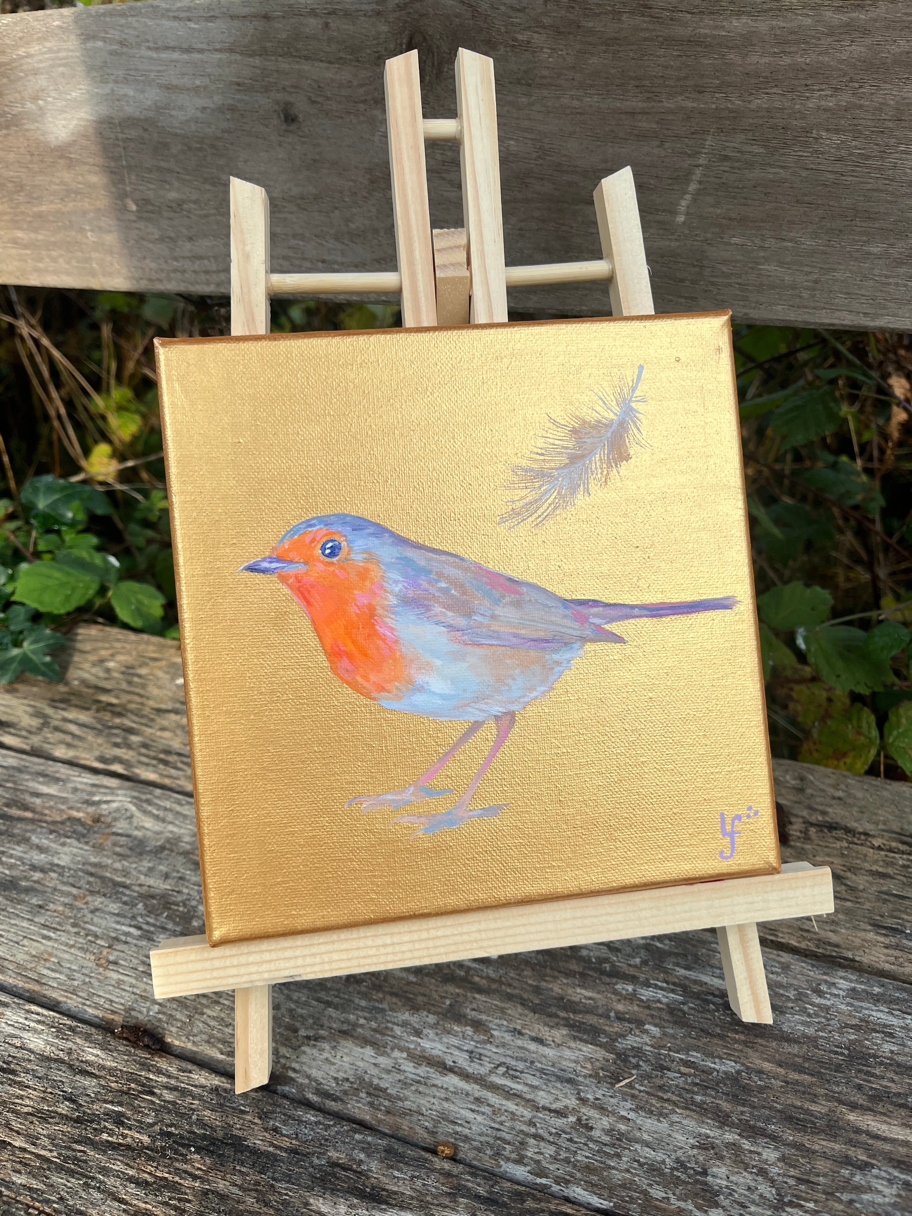 Robin 5- A feather from home