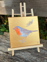 Robin 5- A feather from home