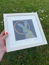 Halo Hare Limited Edition