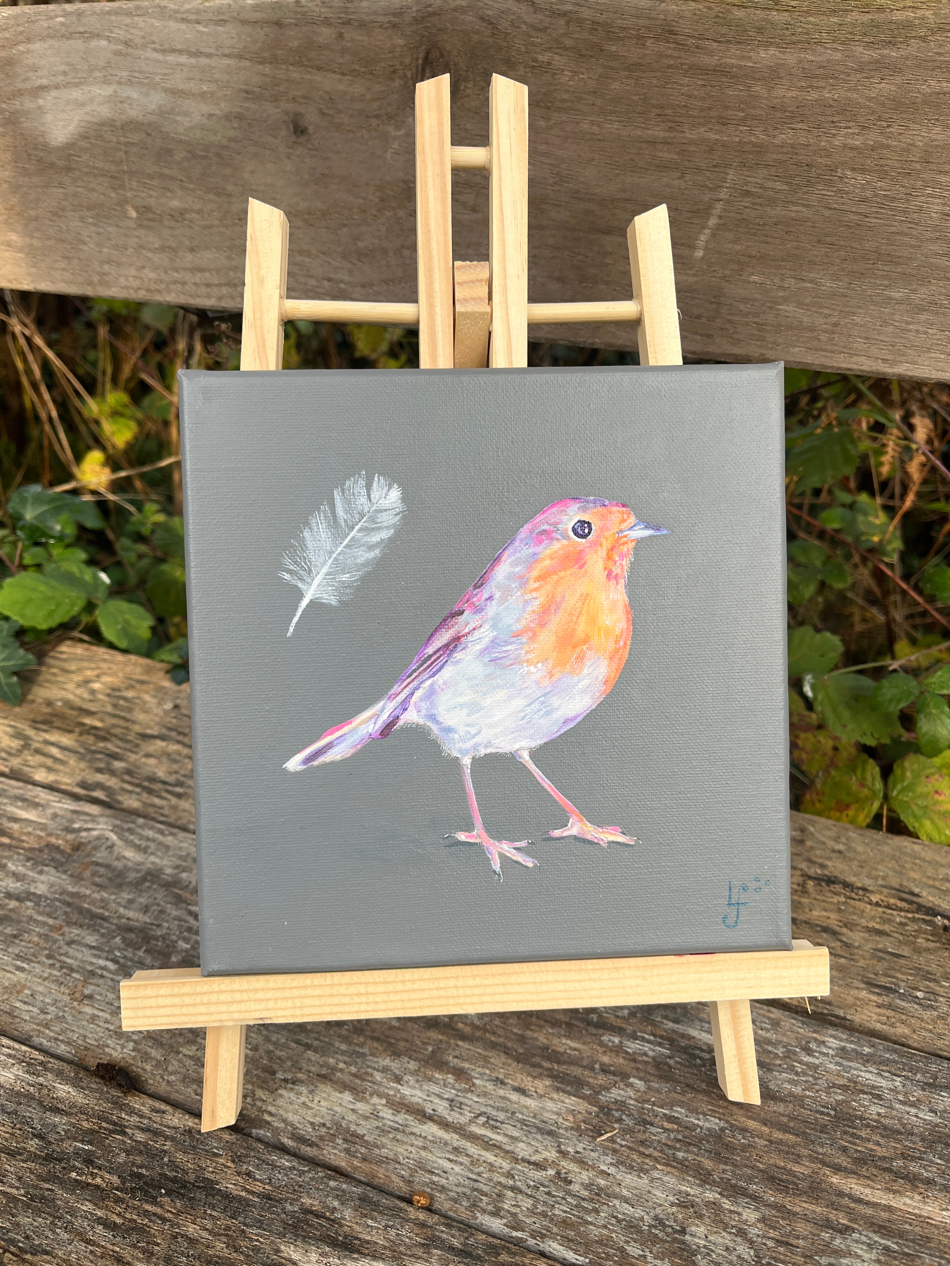 Robin 1 - When Robins Appear