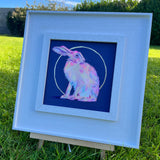hare looking back