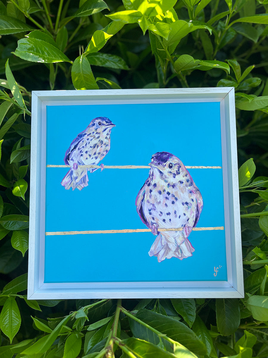 Feathered Friends