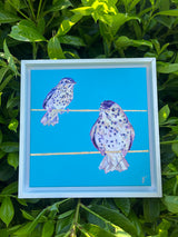 Feathered Friends