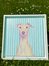Peppermint Whippet